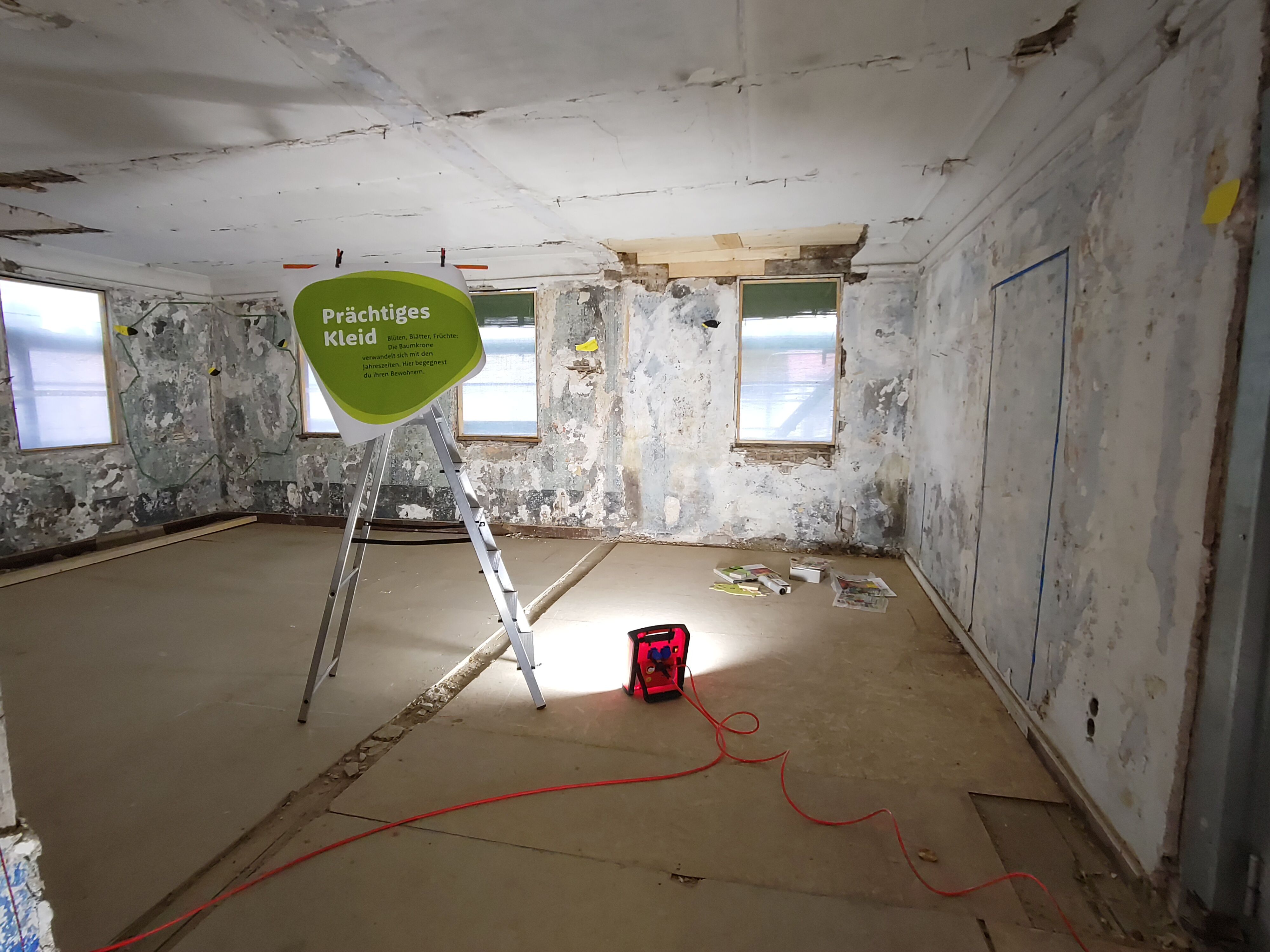 Stellprobe von Exponaten für die Dauerausstellung