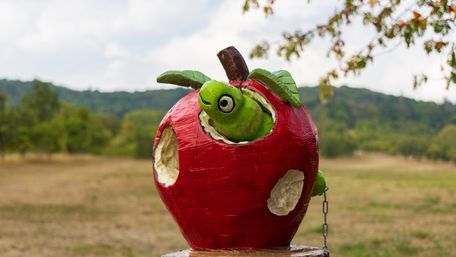 Eine Raupe schaut aus einem Apfel - Skulptur auf dem Streuobsterlebnispfad