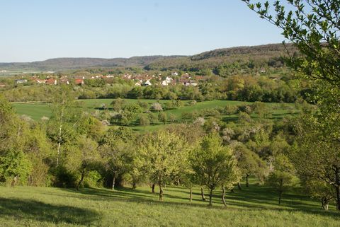 Burgbernheim Landschaft