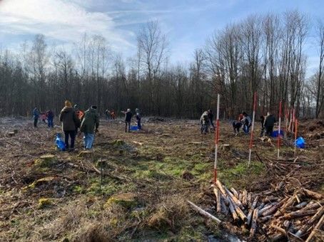 Bild der Waldaktion 2020