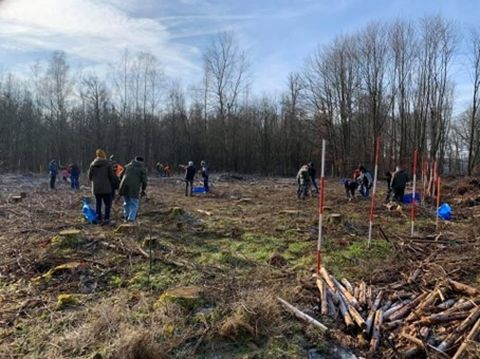 Bild der Waldaktion 2020