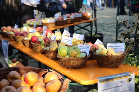 Streuobsttag