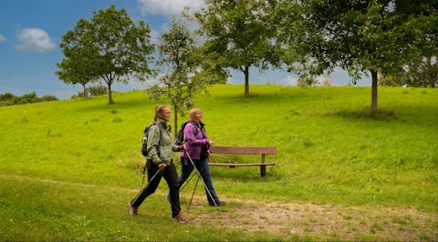 2 Personen beim Wandern in der Natur